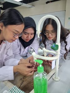 Internship di Malaysia, Mahasiswa FPK UNAIR Ubah Makroalga Menjadi Bioplastik