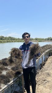 Vito, Alumni FPK UNAIR, mengasah entrepreneur sejak kuliah kini menjalankan autopilot Seaweed pond operator dan seaweed exporter