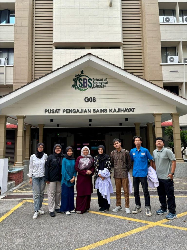 USM 6
