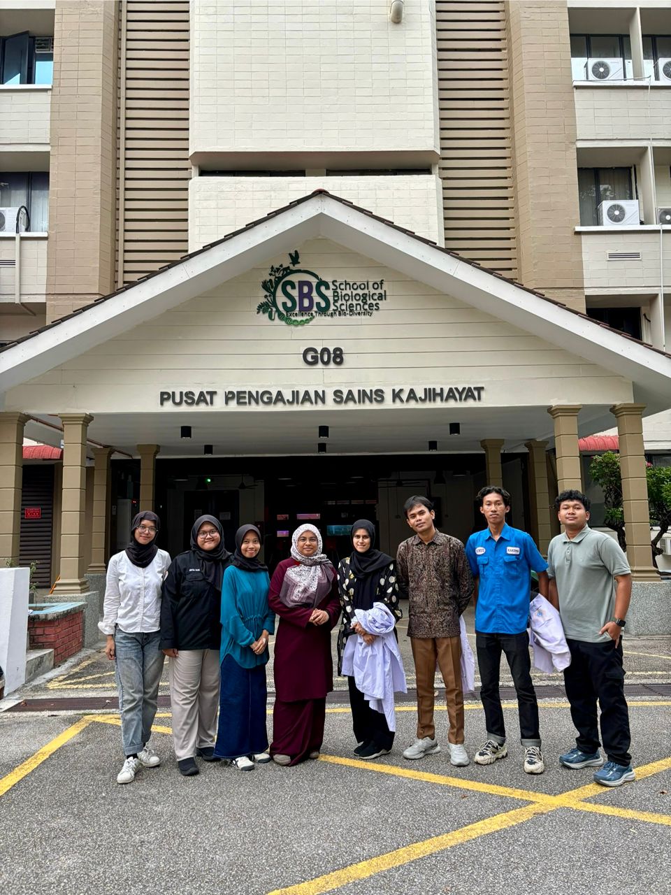 USM 6