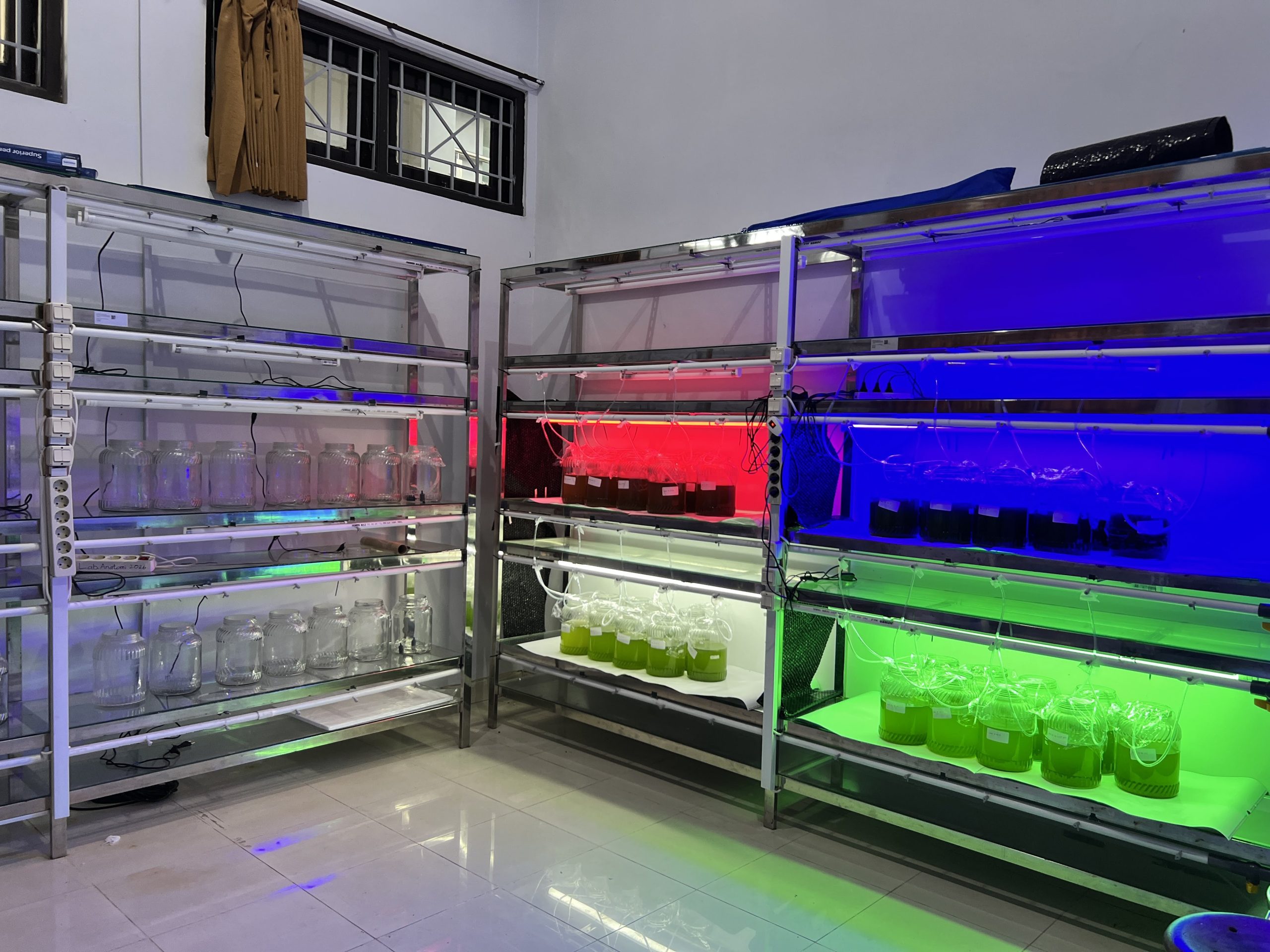 Laboratorium Pakan Alami