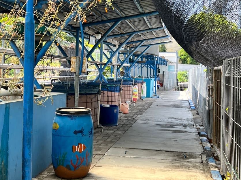 Area Aquaponik FPK UNAIR