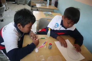 Salmon, Smart Learn 1
