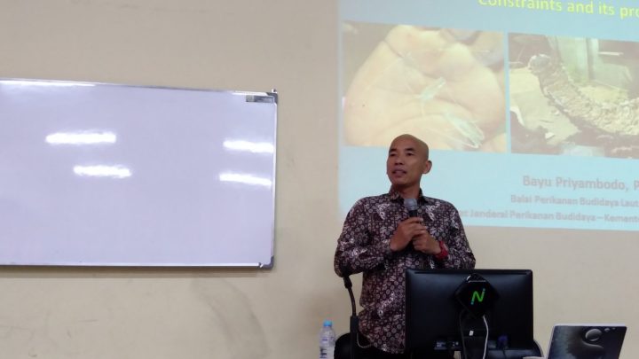 Penyediaan benih lobaster dalam mendukung #lifebelowwater dan konservasi sumberdaya genetik lobster di Indonesia