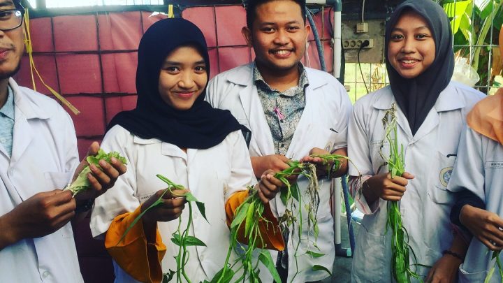 Praktikum pembenihan