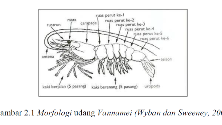 Screenshot 2024-06-28 081026