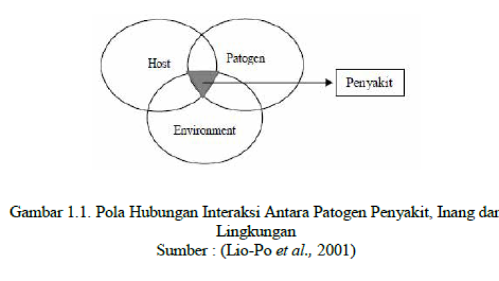 Screenshot 2024-06-28 090952